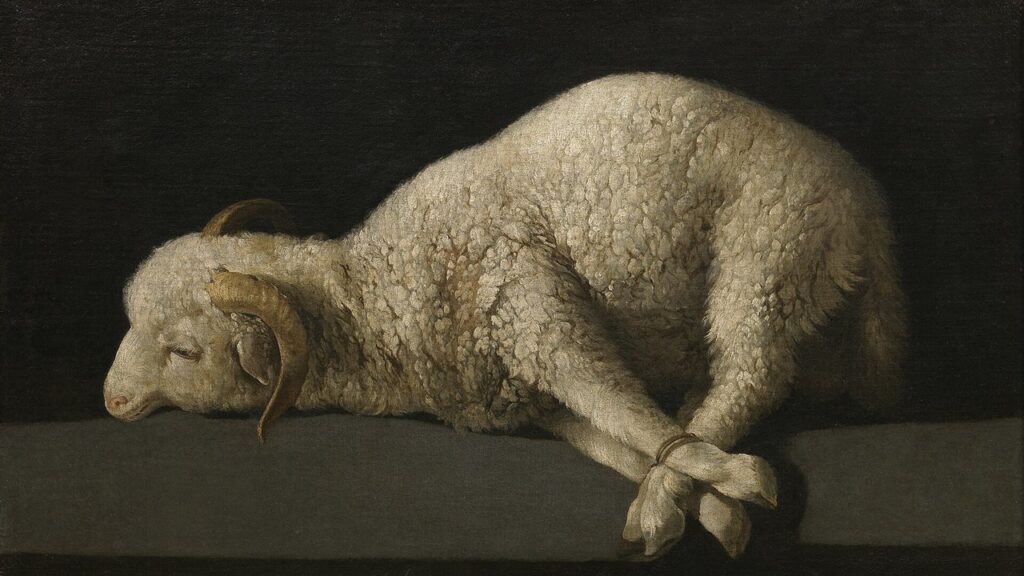 Cordeiro de patas amarradas sobre a mesa, figura de Cristo, nossa Páscoa imolada (1Cor 5,7)