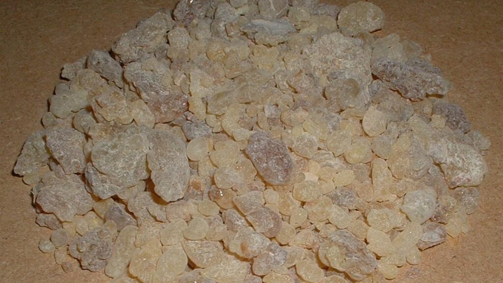 Grãos de olíbano, a resina aromática que é a base do incenso queimado na liturgia