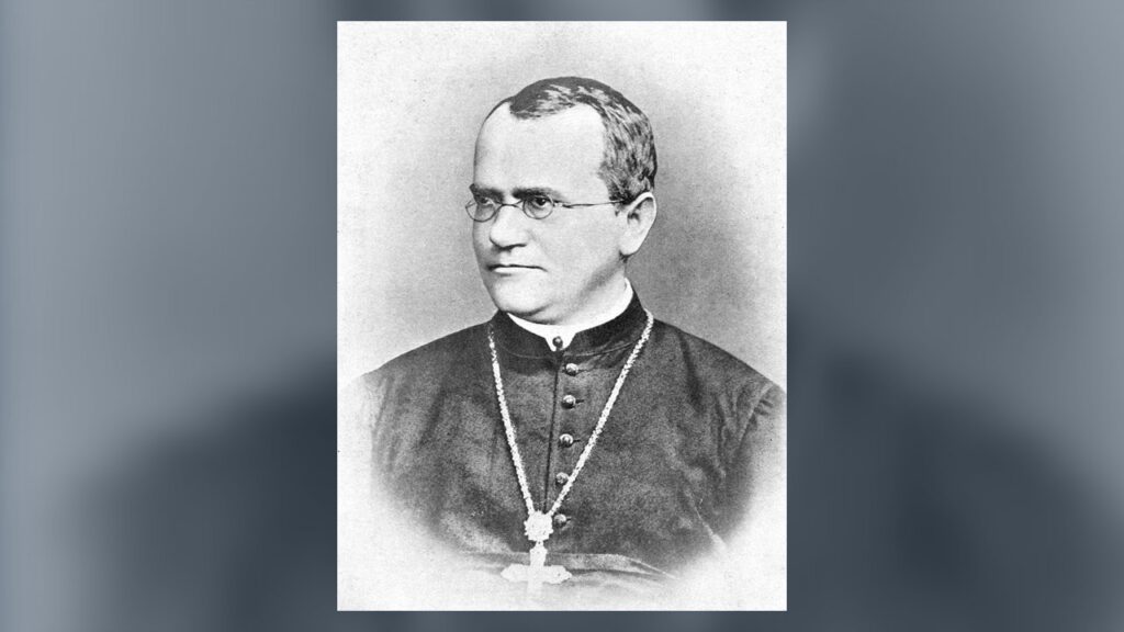 Gregor Mendel, frade e abade agostiniano em Brno, que descobriu as leis da hereditariedade